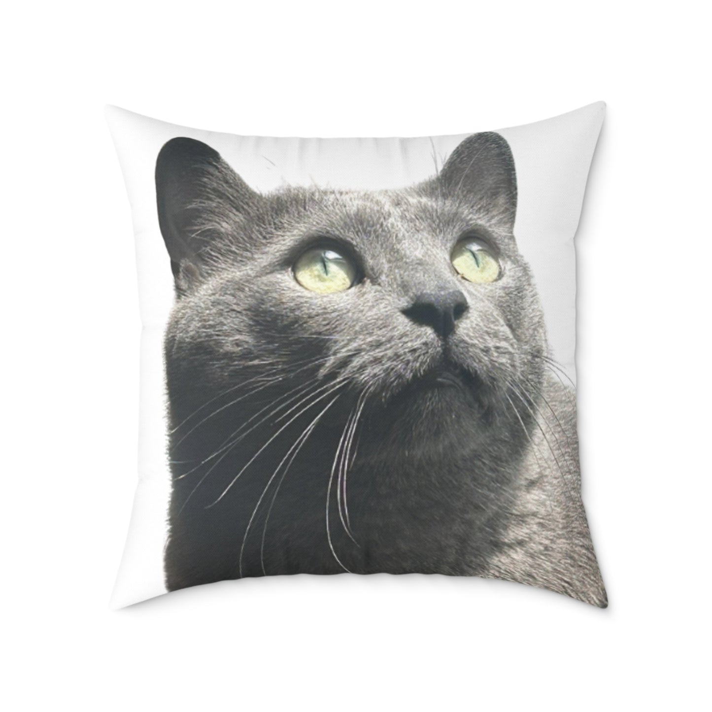 Soot & Mooch Canvas Throw Pillow