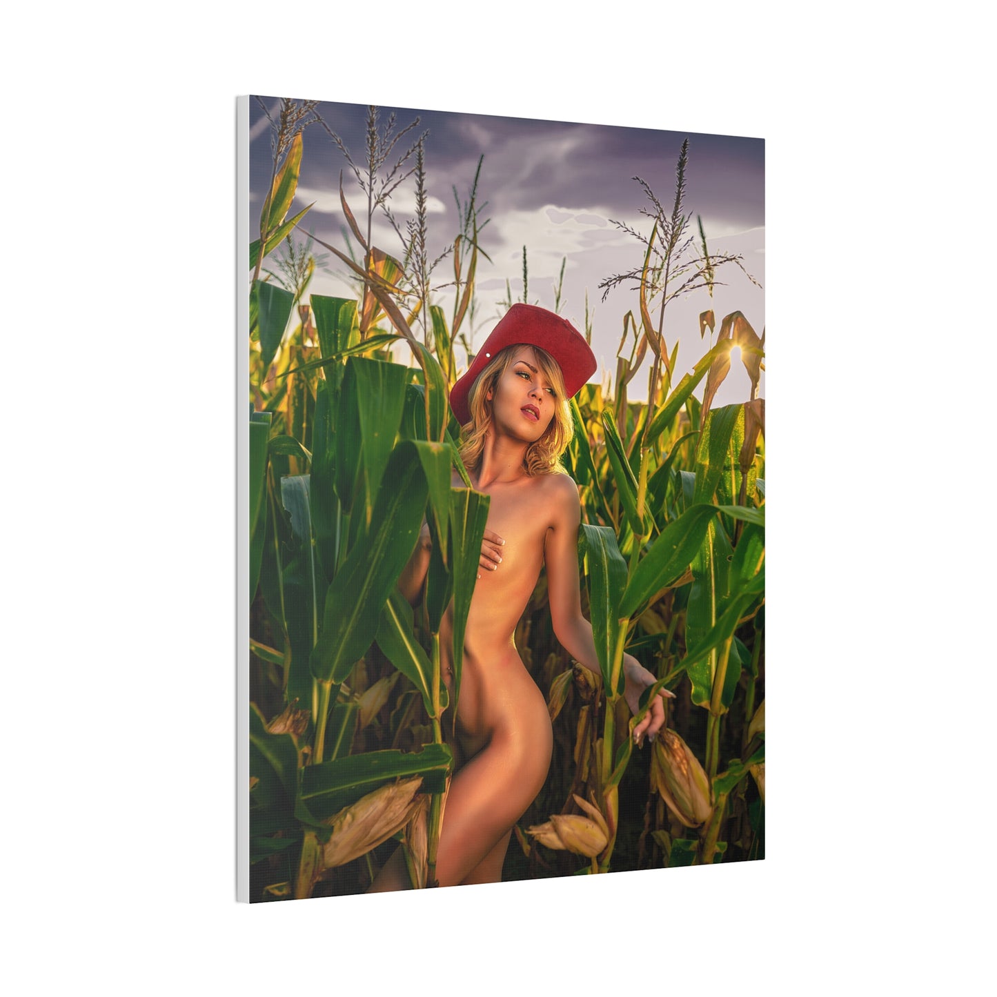 All Natural Harvest - Canvas Wall Print